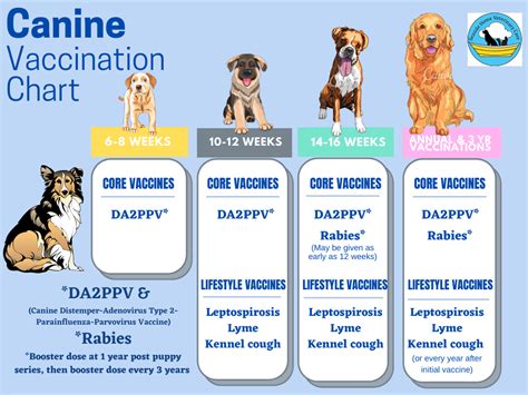 Canine vaccines .